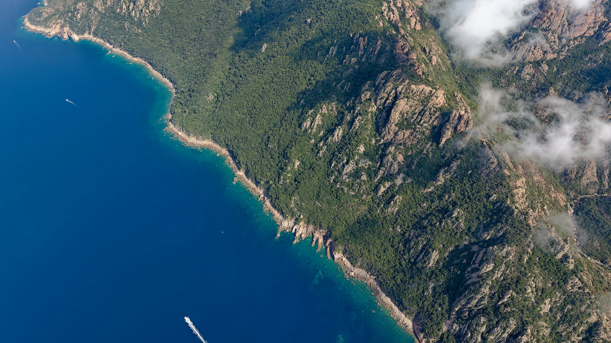 Aerial view of forested mountains meeting a rugged ocean coastline